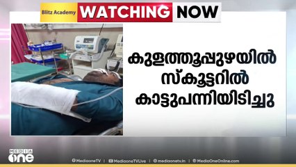 കൊല്ലം കുളത്തൂപ്പുഴയിൽ സ്കൂട്ടറിൽ കാട്ടുപന്നിയിടിച്ച്  യുവാവിന് ഗുരുതര പരിക്ക്