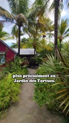 J'ai envie de vivre ici 🐢