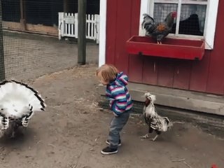 Funny Chickens Chase Troll Babies & Kids 😂 | Hilarious Baby & Pet Moments