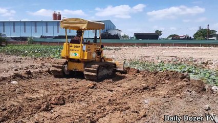 Amazing Bulldozer Pushing Stone and 5 Ton Truck Unloading