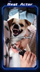Dogs are afraid of nail clipping #funny #fypシ #pet #animal #foryou #funnyvideos #haha#funnydog