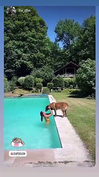 Loup Delon filmée par sa soeur Liv à Douchy dans le domaine familial