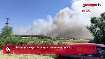 Edirne ve Balıkesir'de yangın! Havadan ve karadan müdahale ediliyor