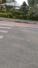 Um lindo dia em Guapimirim Rio de Janeiro