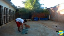 ✅VEJA ISSO DESFECHO SOBRE ACACHORRINHA AINDA BEM QUE EU PEGUE