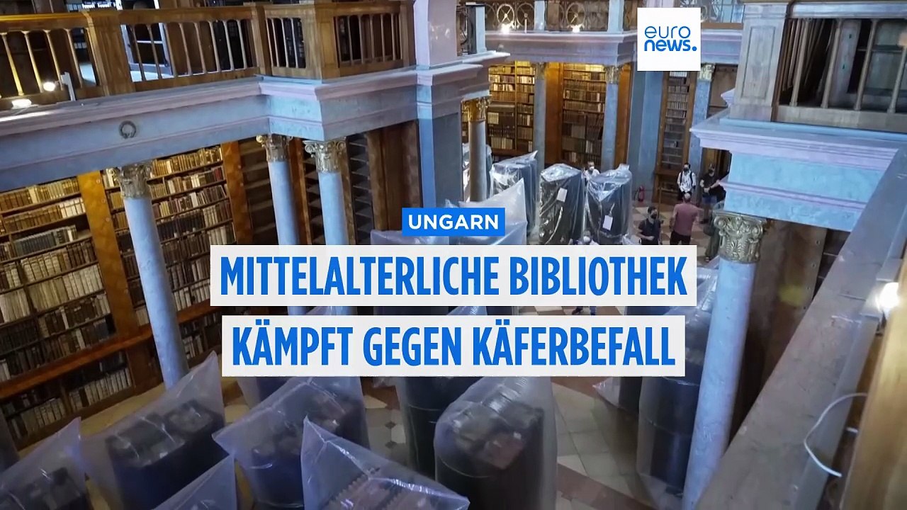 Ungarn: Käfer fressen Teile von mittelalterlicher Bibliothek auf