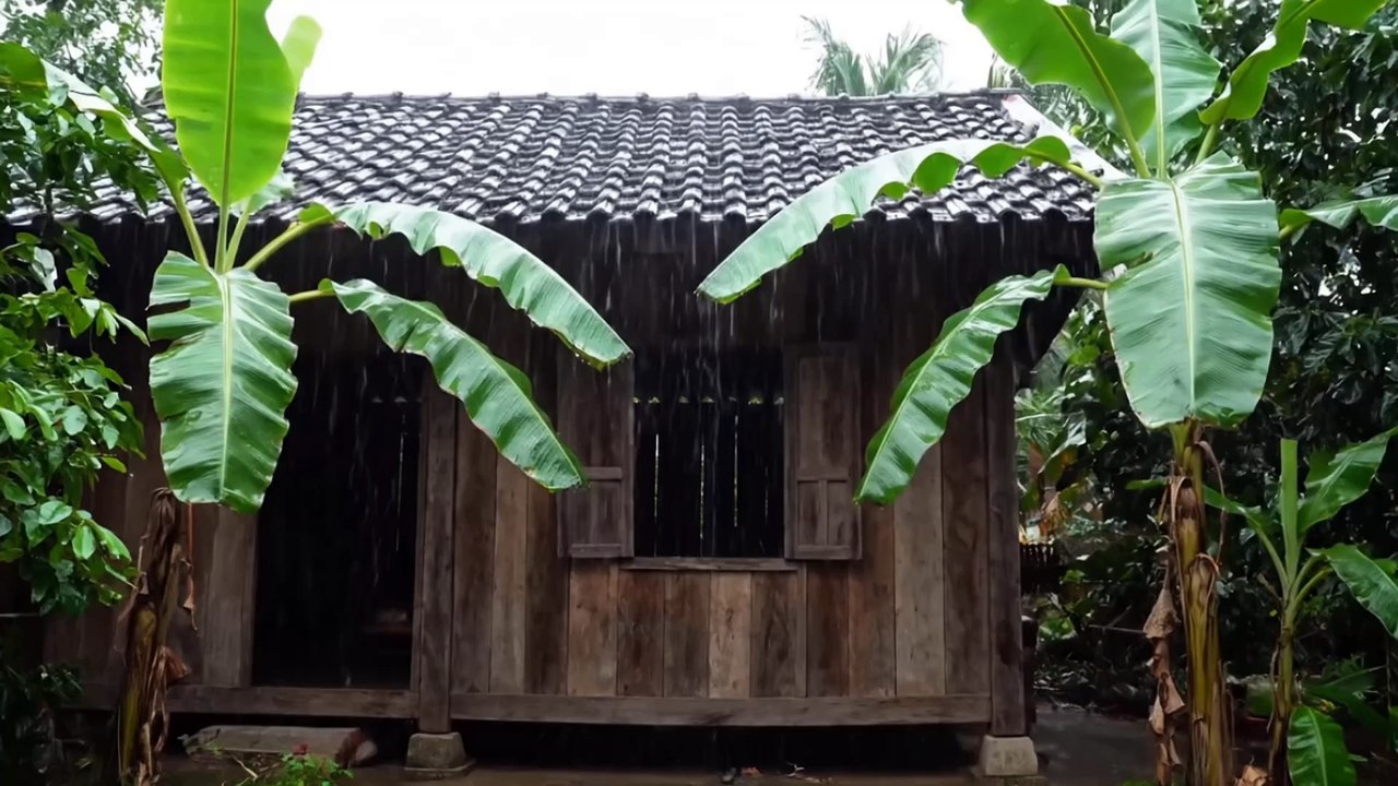 Người Sắp Mất Nhìn Thấy Người Thân Về Dẫn Đi