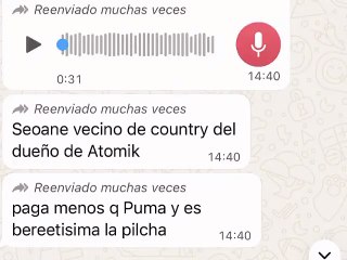 El audio filtrado publicado por Representante de Socios GDI en X