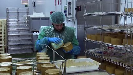 Tradición milenaria, calidad y excelencia en los quesos de Castilla y León que conquistan el mundo