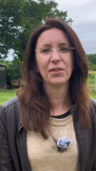 Aline Bertin, chercheuse à l’INRAE, nous explique comment habituer les poules à notre présence 🐔Reportage complet à retrouver sur notre chaîne YouTube (lien en bio) 🧡