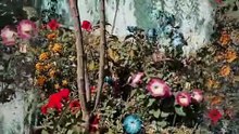 القرآن Quran