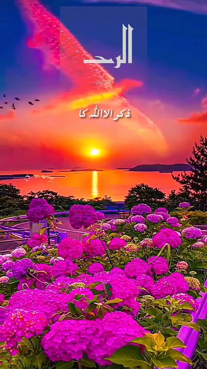 Main To Is Qabil Na Tha | Naat Status Video | Heart-Touching Islamic Naat