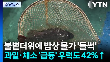 불볕더위에 밥상 물가 '들썩'...과일·채소 '급등' 우럭도 42%↑ / YTN