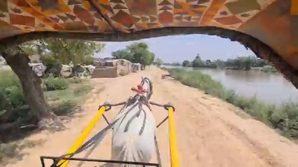 Pakistani village culture