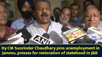 DyCM Sunrinder Chaudhary pins unemployment in Jammu, presses for restoration of statehood in J&K