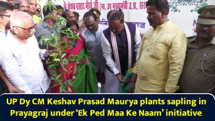 UP Dy CM Keshav Prasad Maurya plants sapling in Prayagraj under ‘Ek Ped Maa Ke Naam’ initiative