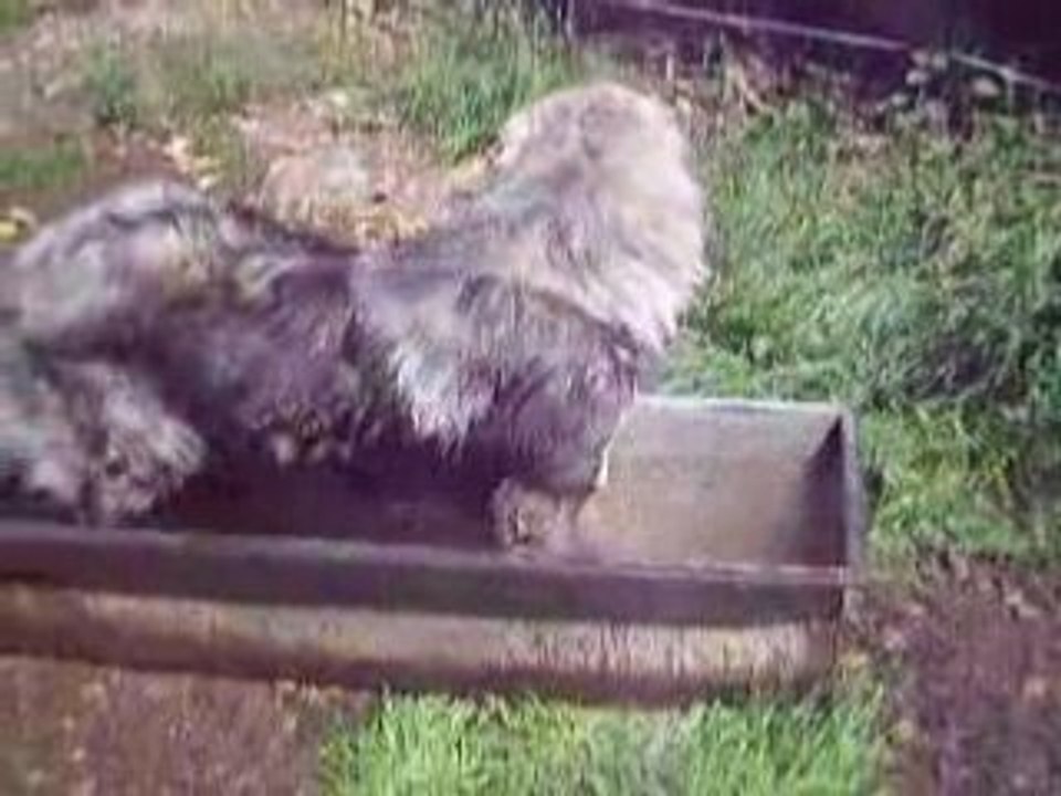 13.05.08 001vidéo (2)