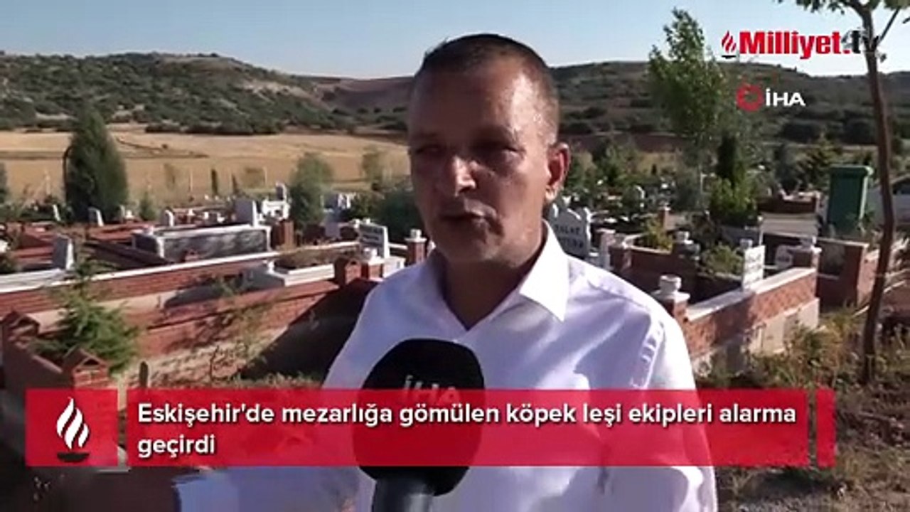 Eskişehir'de mezarlıkta korkunç olay! Bezi açan ekiplerin kanı dondu