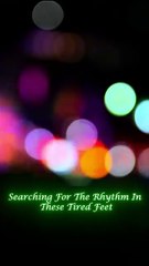 Echoes in the Night – A Lyrical Journey