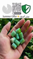 Illuminate Your Drive: The Most Stylish Neon Tire Glow Mods Unboxed!