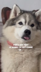 Pour Toujours Ma Toun 🐻‍❄️🤍