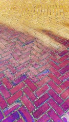 University of California, Berkeley