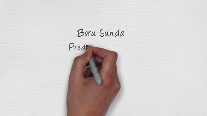 Kode Syair Boru Sunda Hari Senin 14 Juli 2025 #PakTuntung