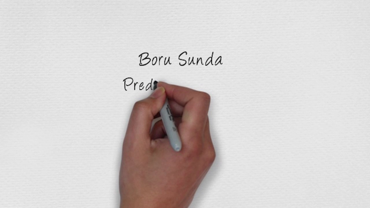 Kode Syair Boru Sunda Hari Senin 14 Juli 2025 #PakTuntung