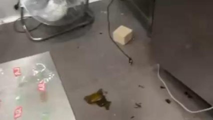 Don Kebab, este domingo por la noche, tras recibir el ataque de un grupo de ultraderecha.