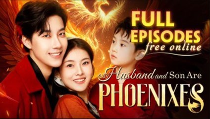 My Husband And Son Are Phoenixes Full Movie