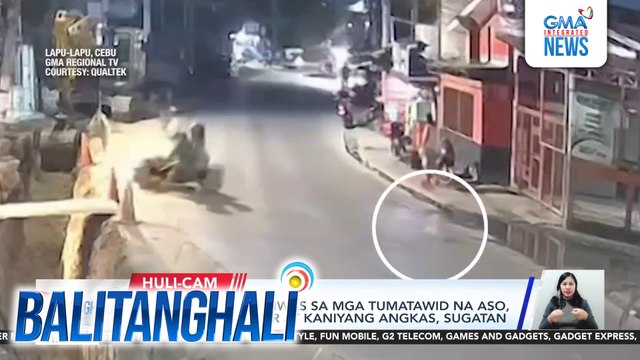 Motorsiklong umiwas sa mga tumatawid na aso, sumemplang; rider at kaniyang angkas, sugatan | Balitanghali