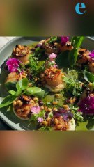 Lake Macquarie Guide: Eat, Stay, Explore!