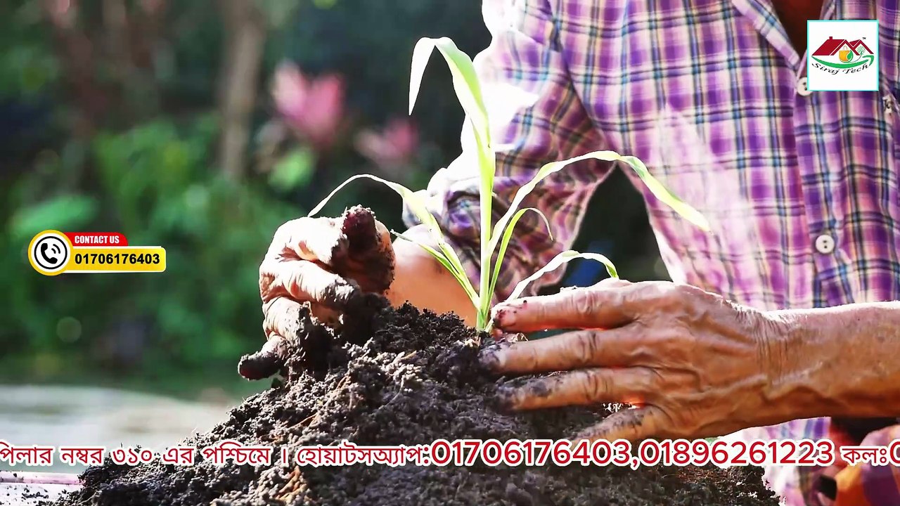 প্রাকৃতিক উপায়ে গাছের যত্ন নিন | কীটনাশক ছাড়াই সবজি ও ফুলগাছের পরিচর্যা