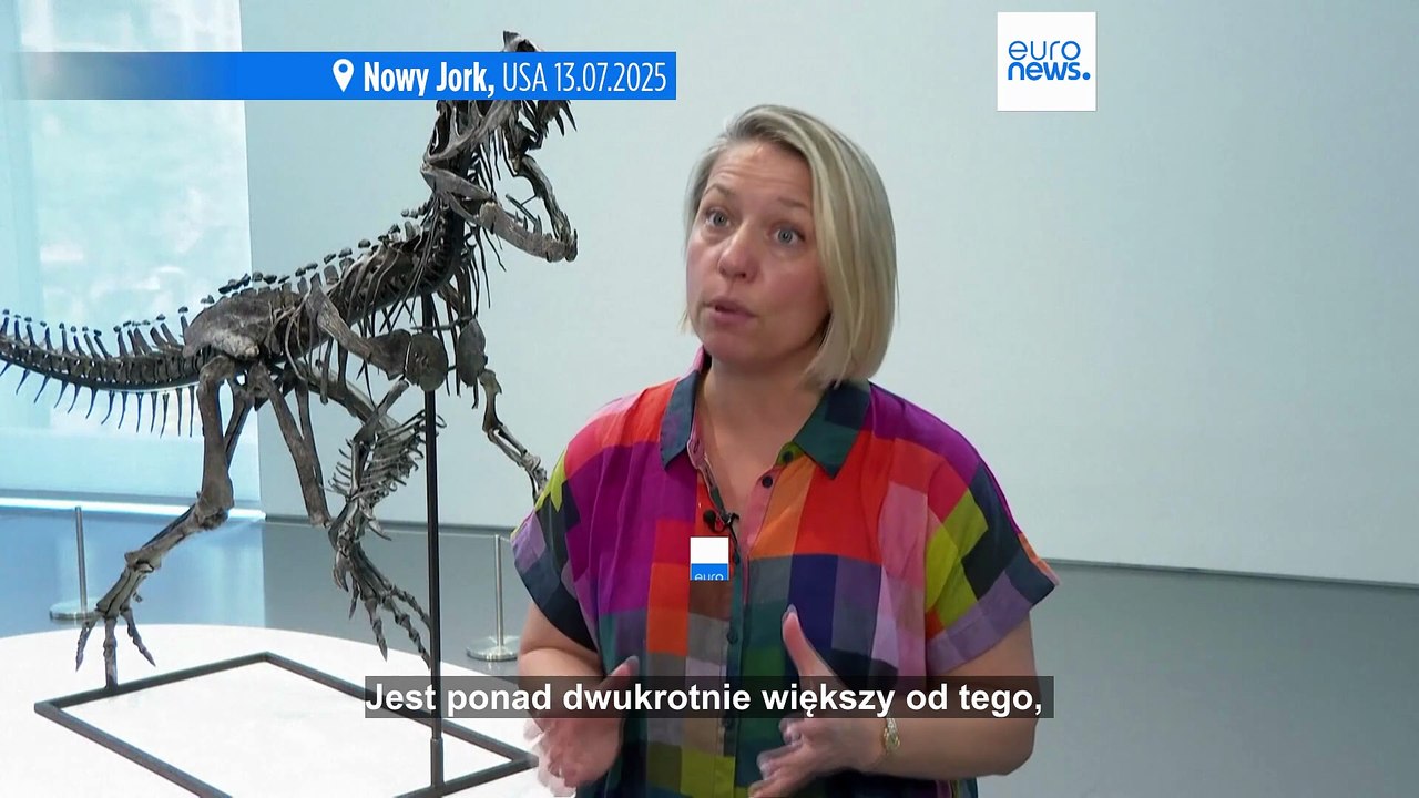 Największy kawałek Marsa na Ziemi zostanie sprzedany na aukcji w Nowym Jorku