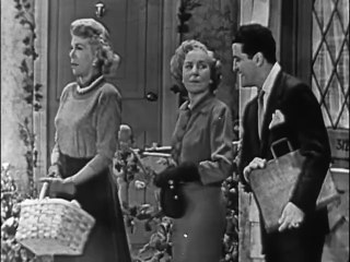 Burns & Allen Show (TV-1950) HARRY MORTON'S PRIVATE SECRETARY