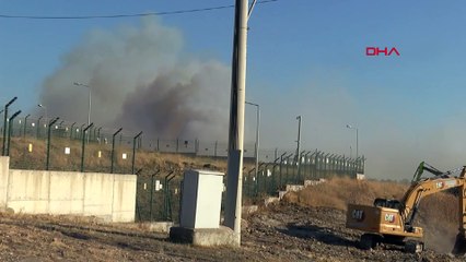 Urla'daki orman yangını sürüyor; Aliağa'da ot yangını kontrol altında