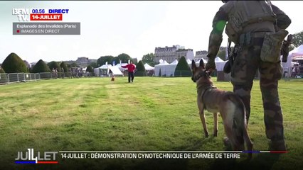 14-Juillet: la démonstration d'une équipe cynotechnique de l'armée de Terre