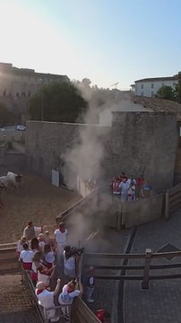 El anodino encierro de los toros de Miura que cierra los sanfermines