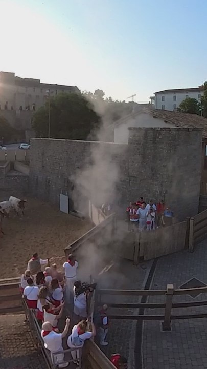 El anodino encierro de los toros de Miura que cierra los sanfermines