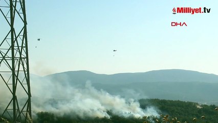 İzmir’de peş peşe yangınlar! Havadan ve karadan büyük müdahale