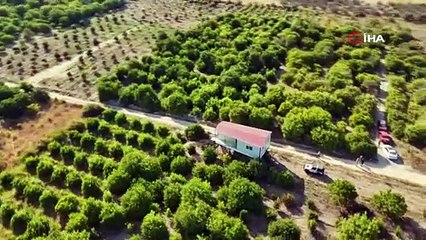 Dolandırıcı çetesi imara açılan köyü altüst etti; tüm tapuları tek tek ele geçirdiler!