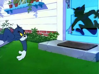 Tom & Jerry | The Dog House