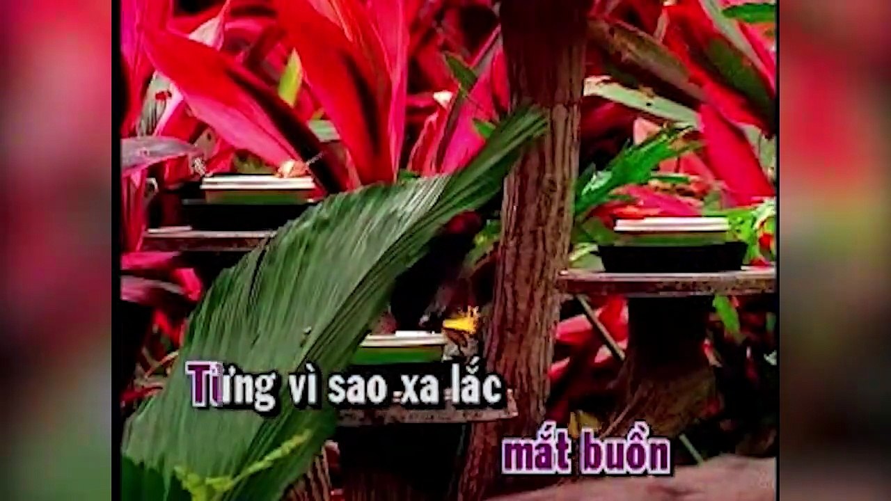 VCD KARAOKE _ Dòng Máu Lạc Hồng (2002) - Đan Trường & V.A [from HT.PRODUCTION)