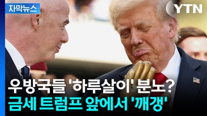 [자막뉴스] "트럼프에 들이 받는 거 아니었어?" 우방국들은 중국이 될 수 없다 / YTN