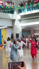 AmanatMann Dancing to Malki Keemaan | Energetic Punjabi Group Performance