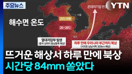 [날씨] 뜨거운 해상서 하루 만에 북상...시간당 84mm 쏟은 열대저기압 / YTN