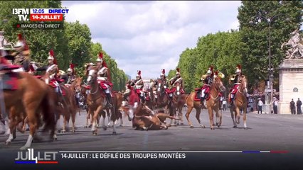 14-Juillet: un cheval chute lors du défilé des troupes montées sur les Champs-Élysées