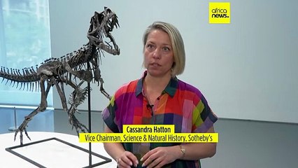 Dinosaur skeleton and Martian meteorite to go under the hammer at Sotheby's 'Geek Week'