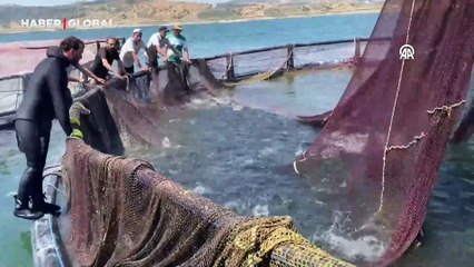 Yozgat'ta üretiliyor, Avrupa'ya ihraç ediliyor