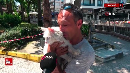 Kocaeli'de kayıp kedisine günler sonra kavuştu bu kez mutluluktan ağladı